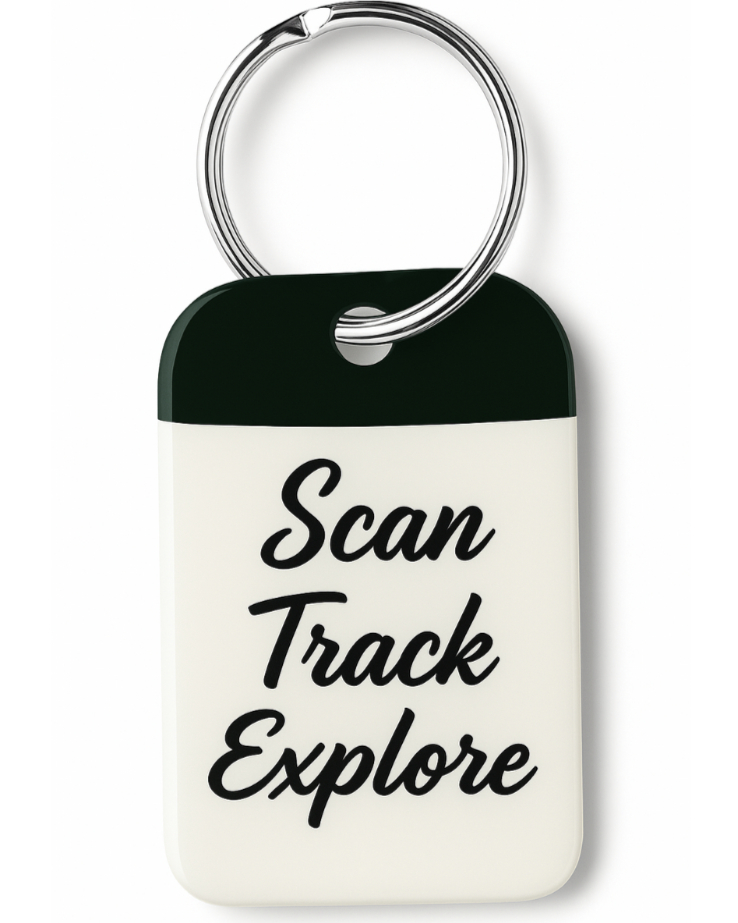 Smart Key Security Tag